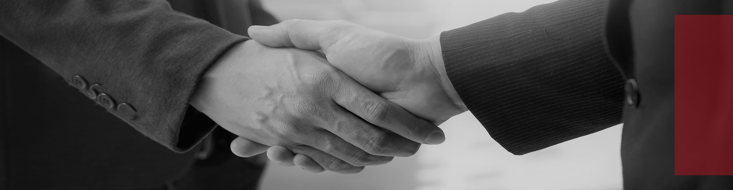 global ace  technology Partners