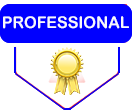 Adobe Professional Services