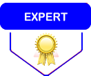 Adobe Professional Services